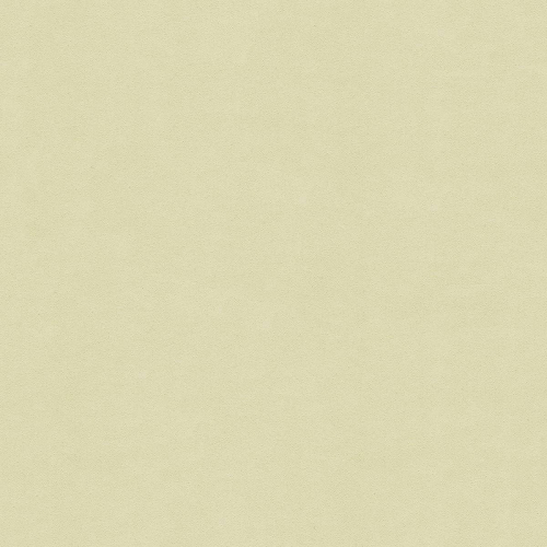 3004