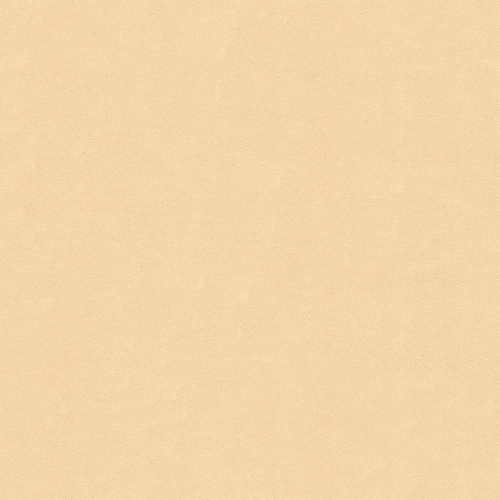 3006